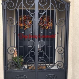 Security-Doors-and-Front-Yard-Gates-23